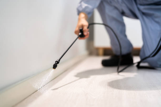 Licensed Exterminator service in East Pepperell, MA - Show Me Pest Control